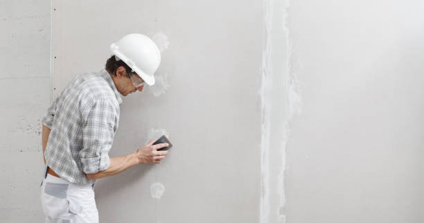 Best Mold Removal for HVAC Installations  in Marshall, IL