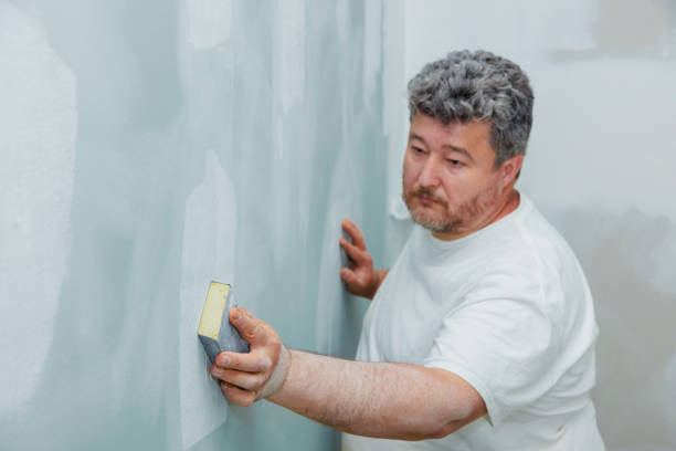 Best Attic Mold Removal  in Marshall, IL