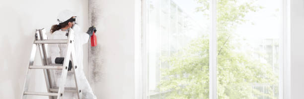 Marshall, IL Mold Removal Company